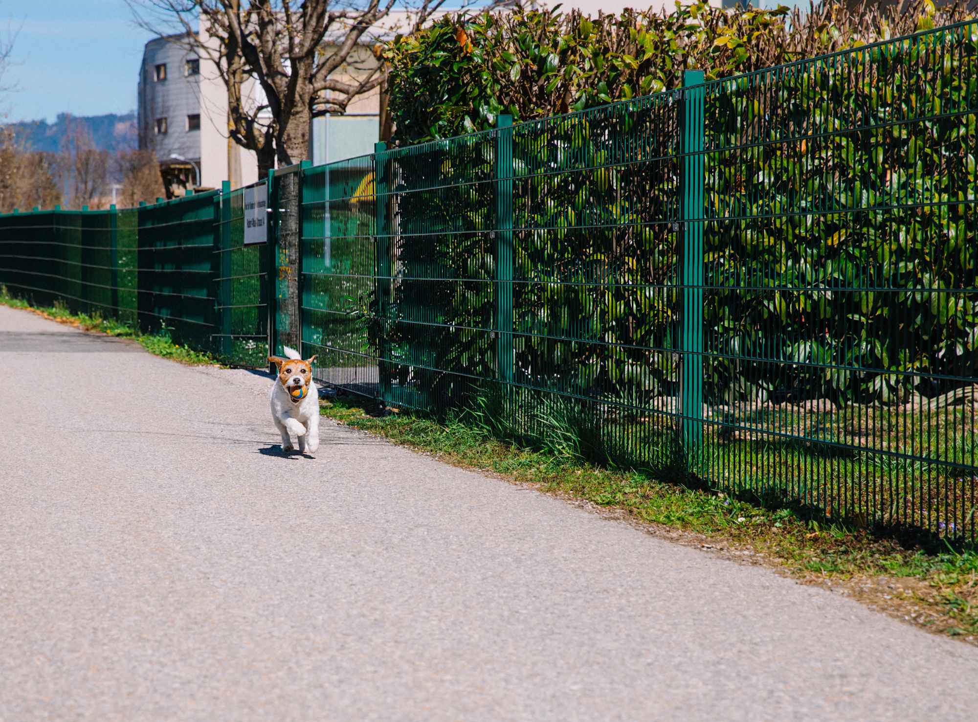 Wire Fencing