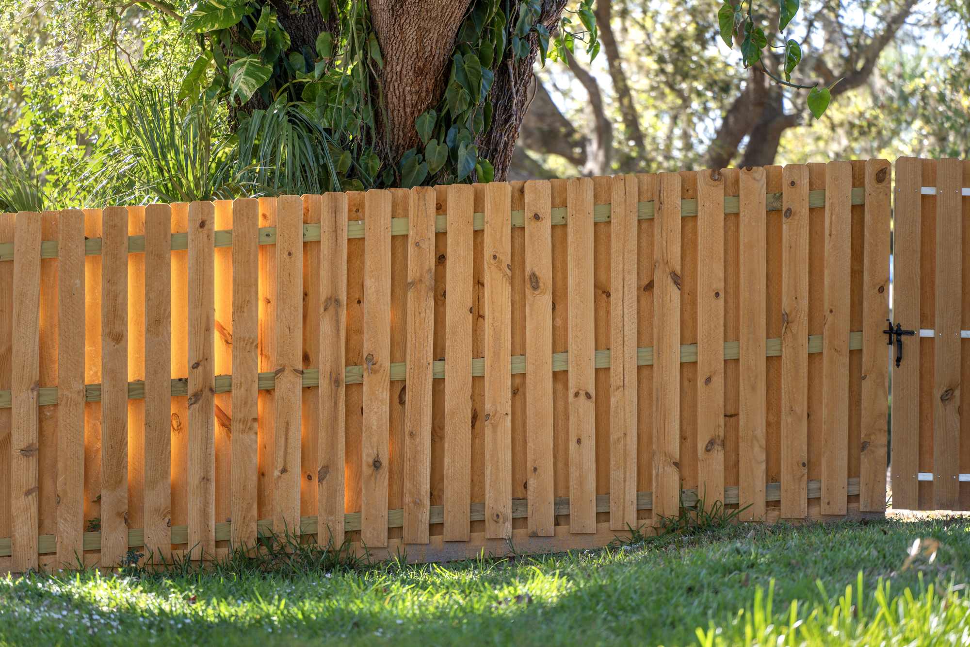 Fence repairs